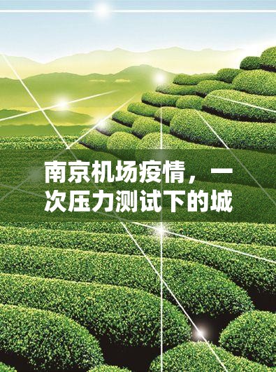 南京机场疫情，一次压力测试下的城市应急管理反思