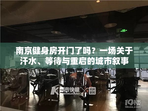 南京健身房开门了吗？一场关于汗水、等待与重启的城市叙事