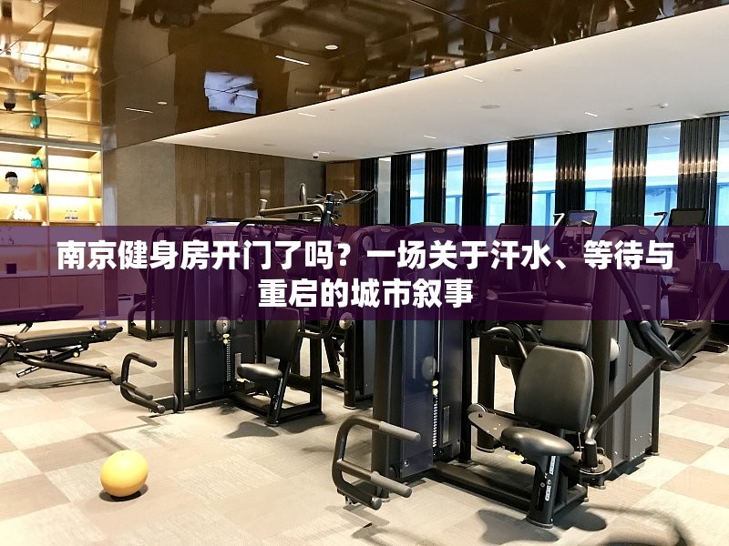 南京健身房开门了吗？一场关于汗水、等待与重启的城市叙事