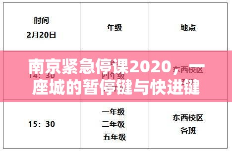 南京紧急停课2020，一座城的暂停键与快进键