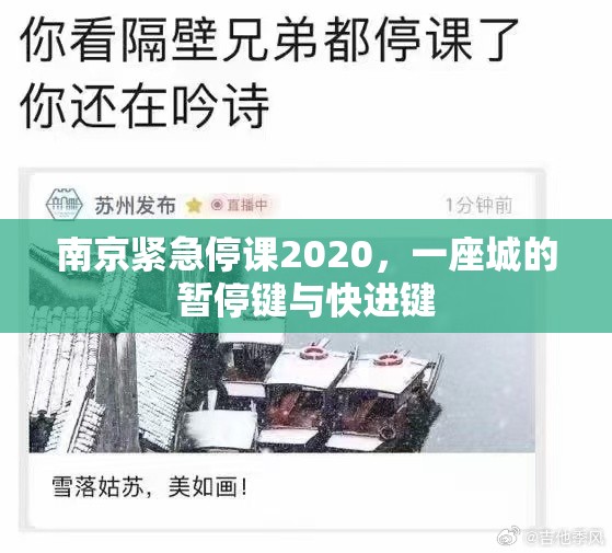 南京紧急停课2020，一座城的暂停键与快进键