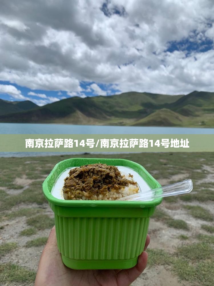 南京拉萨路14号/南京拉萨路14号地址