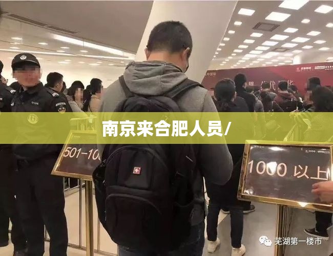 南京来合肥人员/