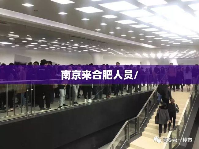 南京来合肥人员/