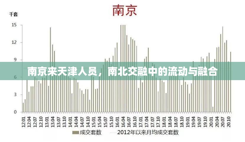 南京来天津人员，南北交融中的流动与融合