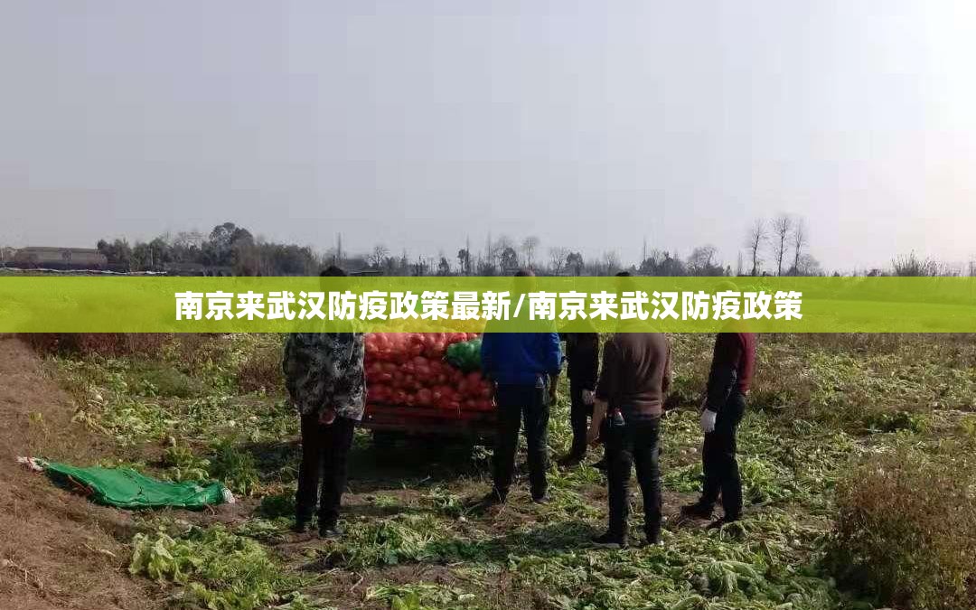 南京来武汉防疫政策最新/南京来武汉防疫政策