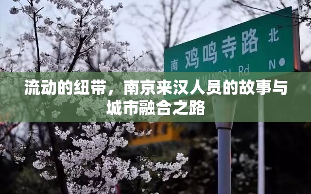 流动的纽带，南京来汉人员的故事与城市融合之路
