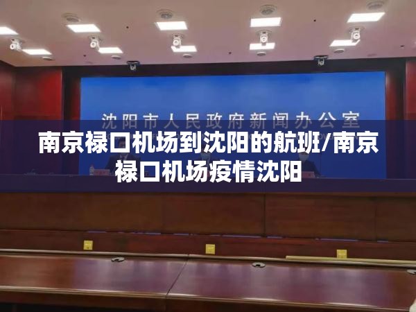 南京禄口机场到沈阳的航班/南京禄口机场疫情沈阳