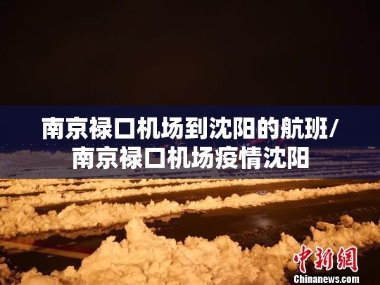 南京禄口机场到沈阳的航班/南京禄口机场疫情沈阳