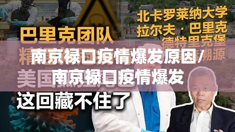 南京禄口疫情爆发原因/南京禄口疫情爆发