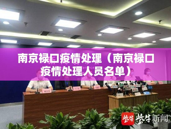 南京禄口疫情处理（南京禄口疫情处理人员名单）
