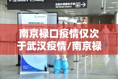 南京禄口疫情仅次于武汉疫情/南京禄口疫情仅次于武汉