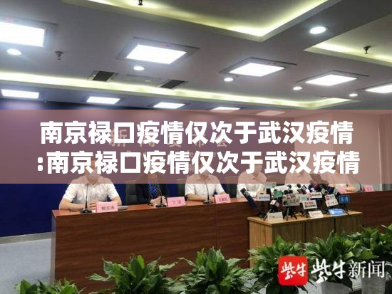 南京禄口疫情仅次于武汉疫情:南京禄口疫情仅次于武汉疫情吗