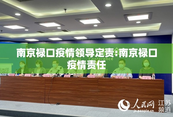 南京禄口疫情领导定责:南京禄口疫情责任