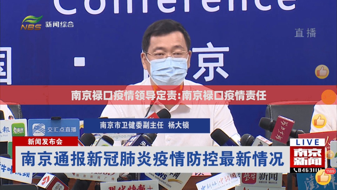 南京禄口疫情领导定责:南京禄口疫情责任