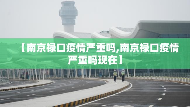 【南京禄口疫情严重吗,南京禄口疫情严重吗现在】