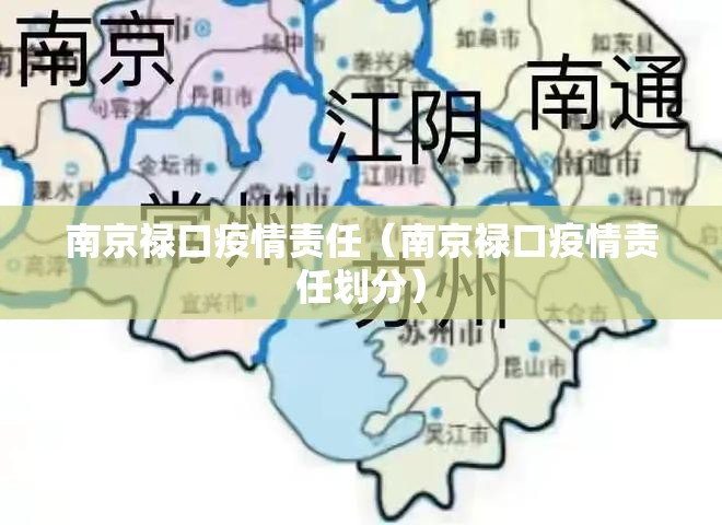 南京禄口疫情责任（南京禄口疫情责任划分）