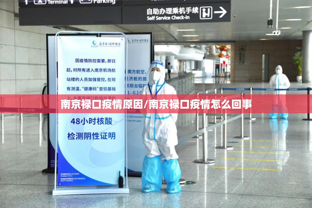南京禄口疫情原因/南京禄口疫情怎么回事