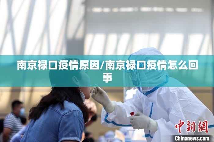 南京禄口疫情原因/南京禄口疫情怎么回事