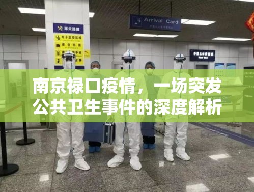 南京禄口疫情，一场突发公共卫生事件的深度解析与启示
