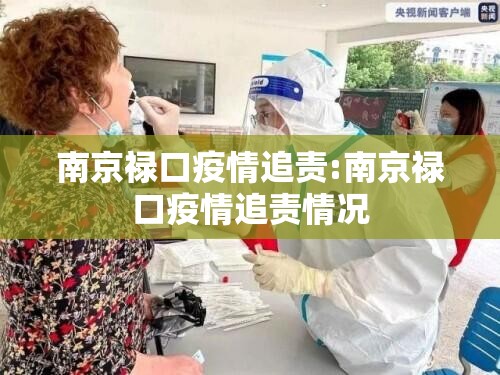 南京禄口疫情追责:南京禄口疫情追责情况