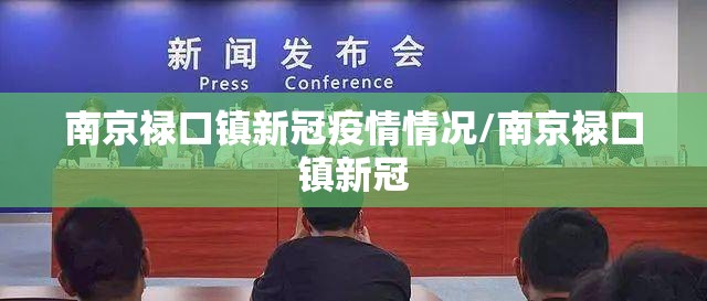 南京禄口镇新冠疫情情况/南京禄口镇新冠