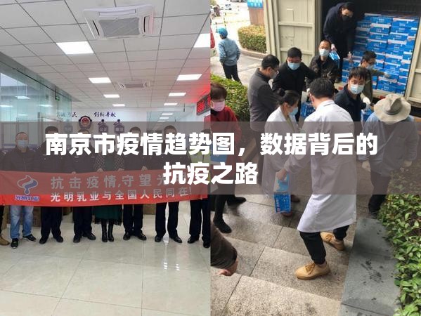 南京市疫情趋势图，数据背后的抗疫之路