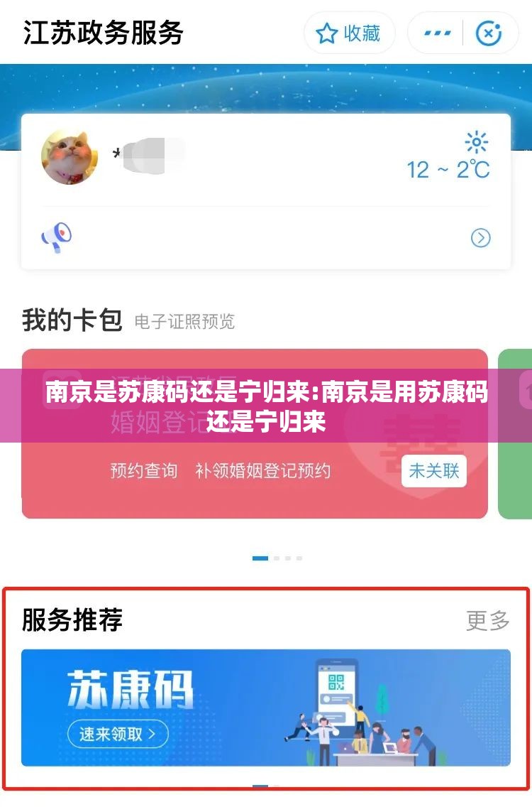 南京是苏康码还是宁归来:南京是用苏康码还是宁归来