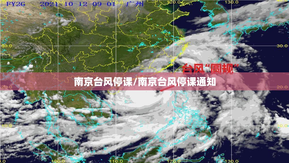 南京台风停课/南京台风停课通知
