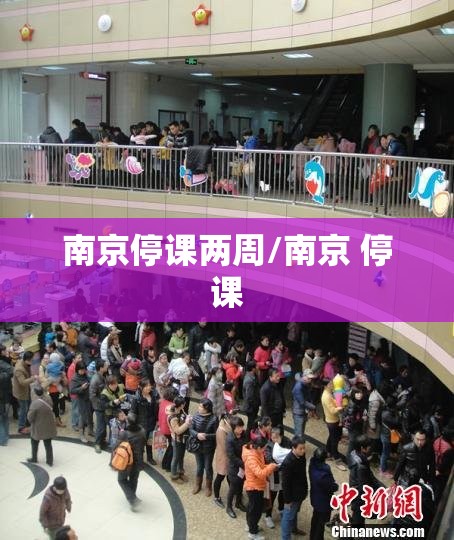 南京停课两周/南京 停课