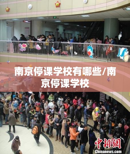 南京停课学校有哪些/南京停课学校