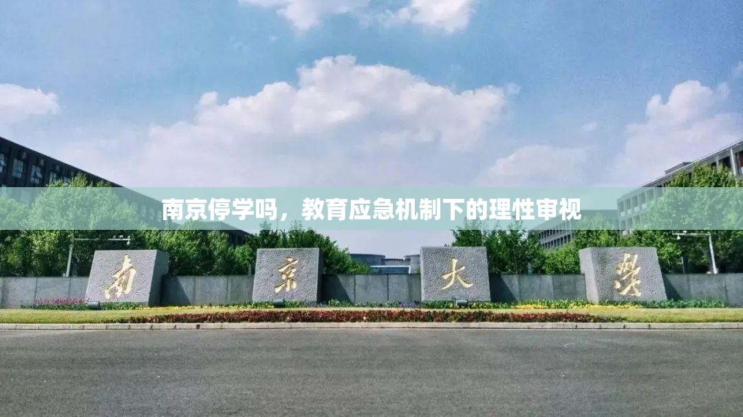 南京停学吗，教育应急机制下的理性审视
