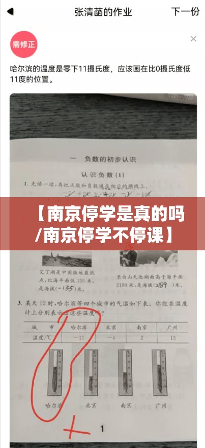 【南京停学是真的吗/南京停学不停课】