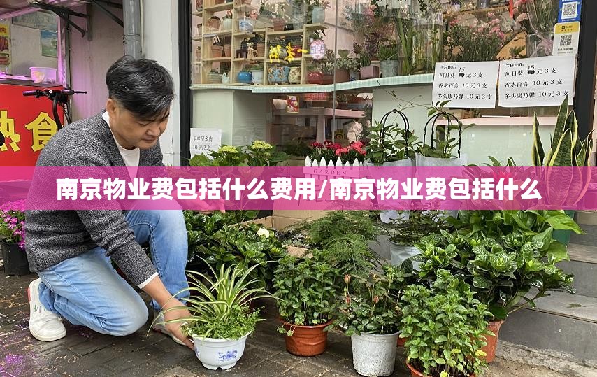 南京物业费包括什么费用/南京物业费包括什么