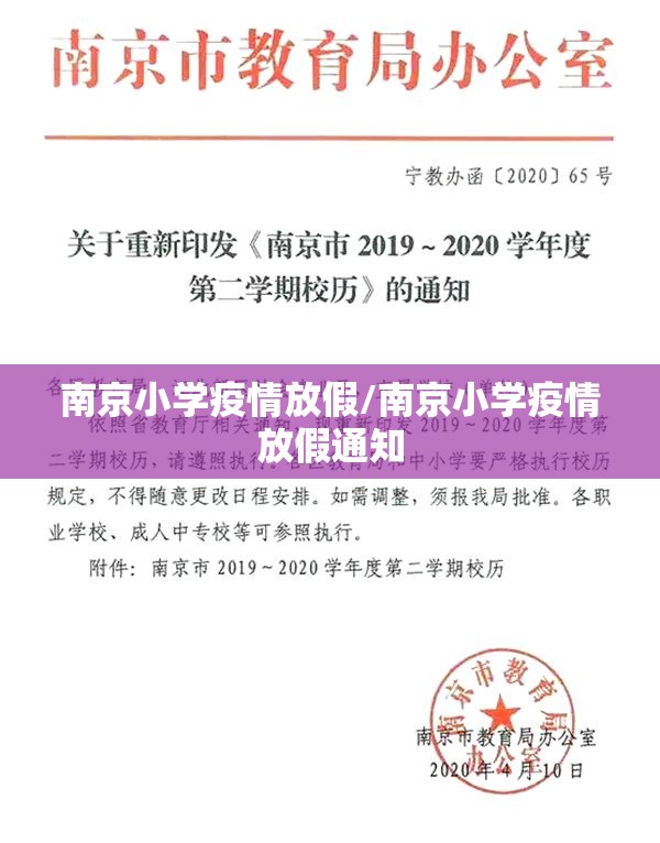 南京小学疫情放假/南京小学疫情放假通知