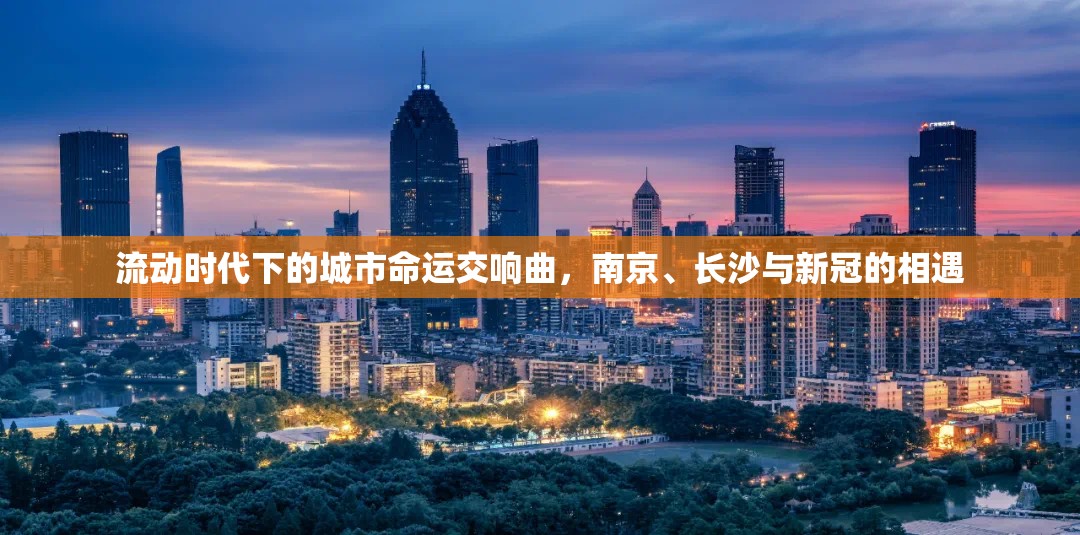 流动时代下的城市命运交响曲，南京、长沙与新冠的相遇