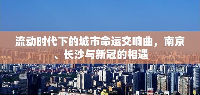 流动时代下的城市命运交响曲，南京、长沙与新冠的相遇