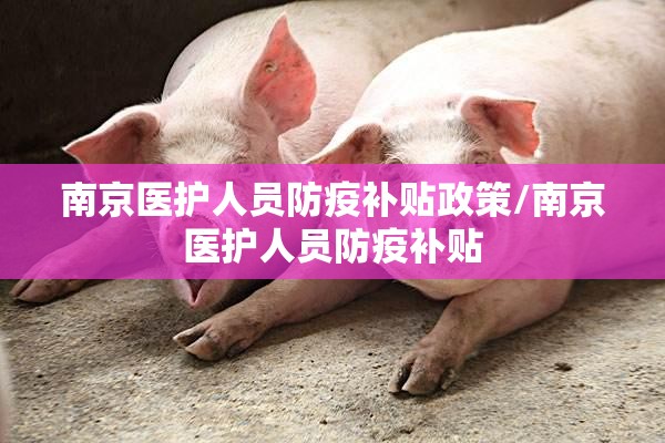 南京医护人员防疫补贴政策/南京医护人员防疫补贴