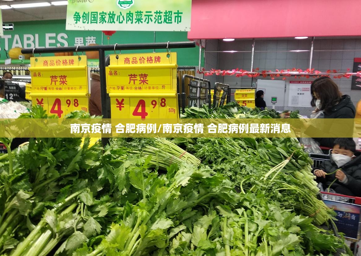 南京疫情 合肥病例/南京疫情 合肥病例最新消息