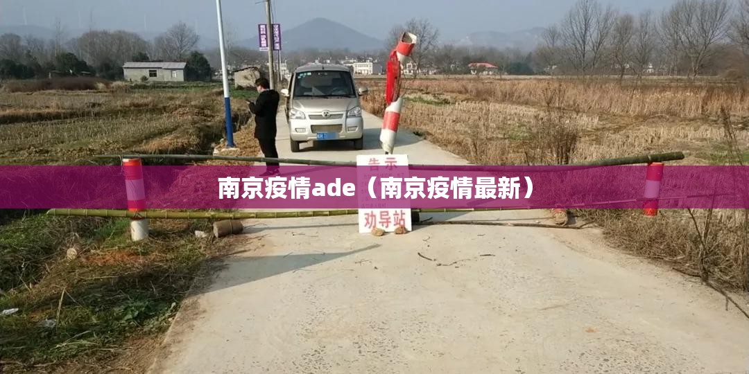 南京疫情ade（南京疫情最新）