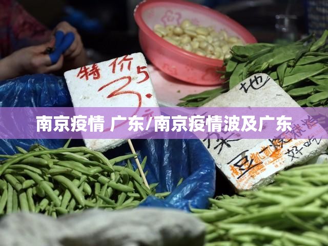 南京疫情 广东/南京疫情波及广东