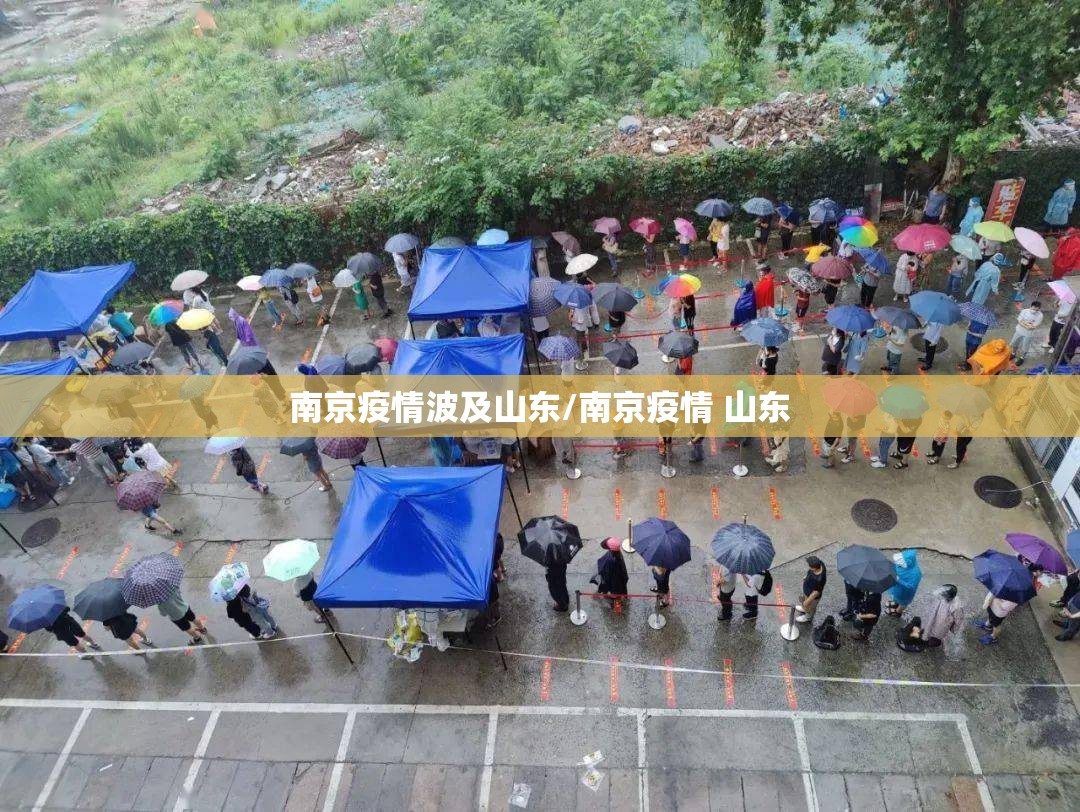 南京疫情波及山东/南京疫情 山东