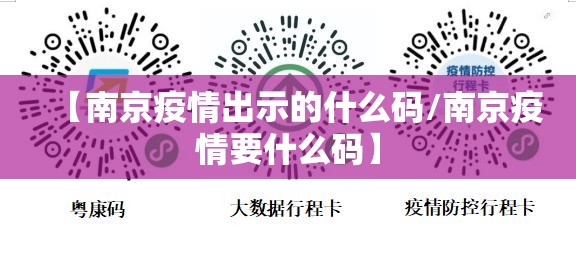 【南京疫情出示的什么码/南京疫情要什么码】