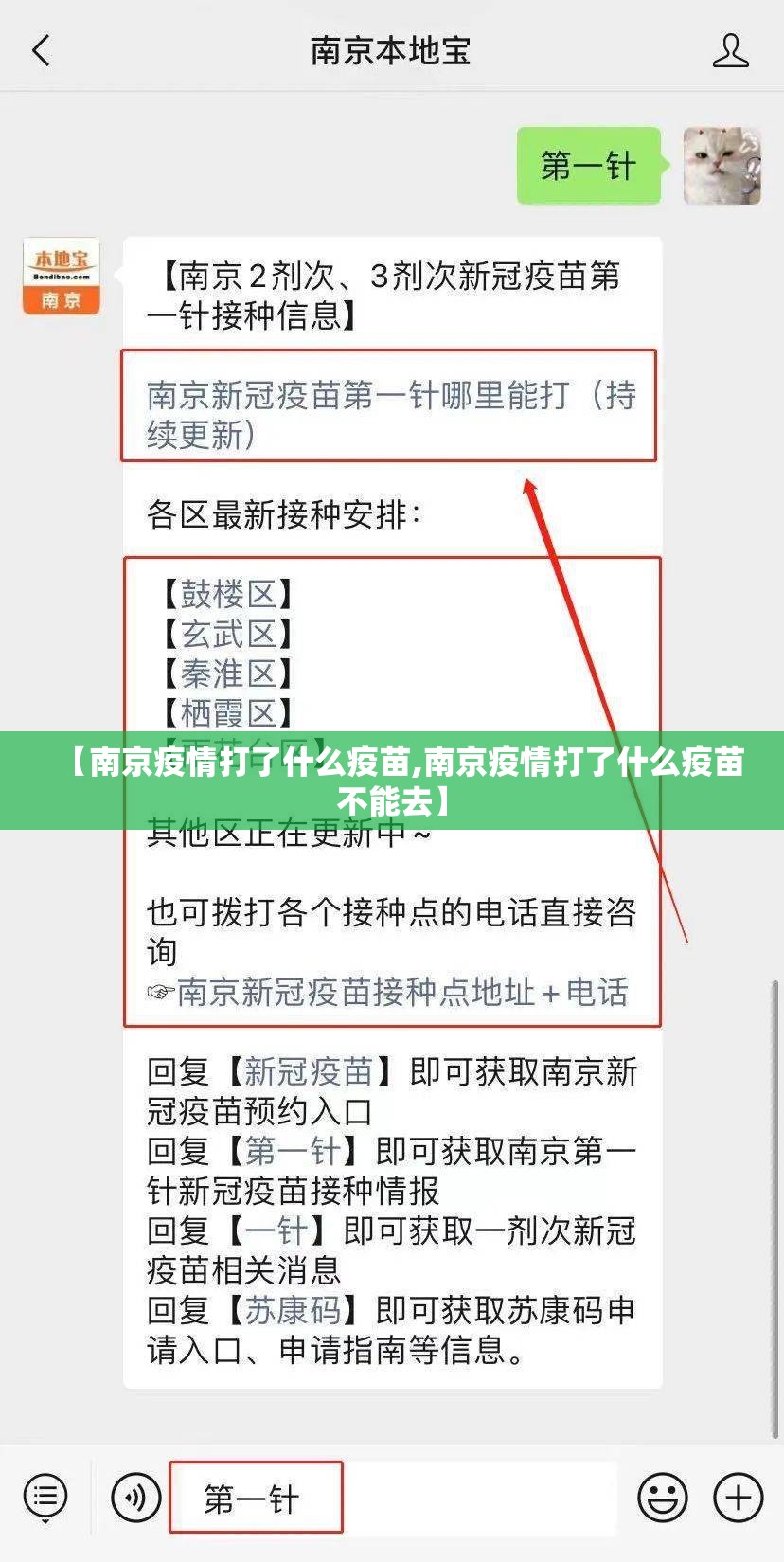 【南京疫情打了什么疫苗,南京疫情打了什么疫苗不能去】