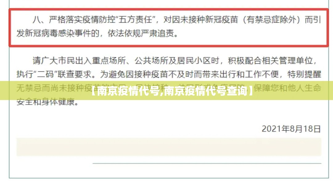 【南京疫情代号,南京疫情代号查询】