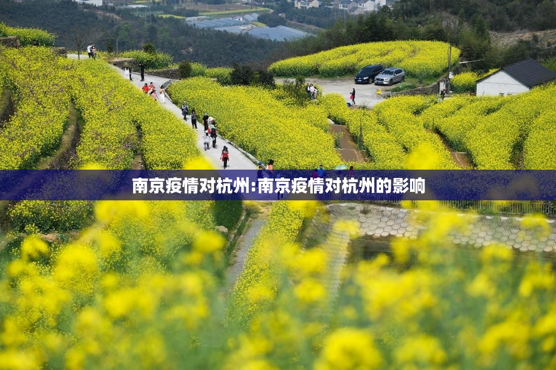 南京疫情对杭州:南京疫情对杭州的影响