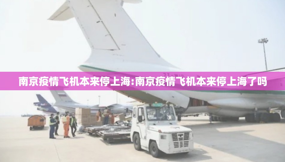 南京疫情飞机本来停上海:南京疫情飞机本来停上海了吗