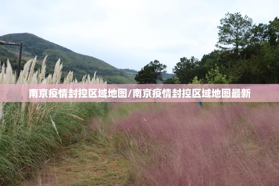 南京疫情封控区域地图/南京疫情封控区域地图最新