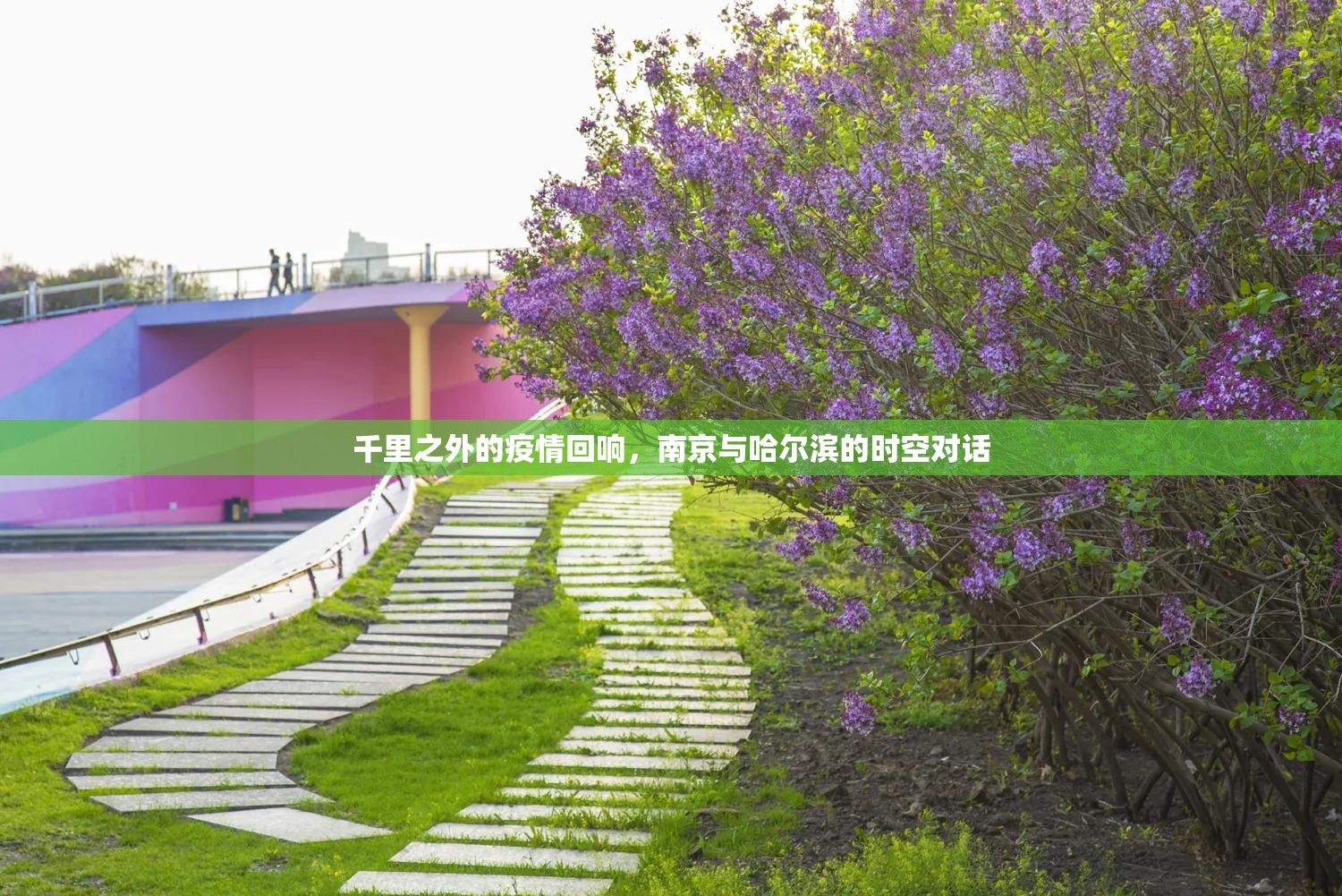 千里之外的疫情回响，南京与哈尔滨的时空对话