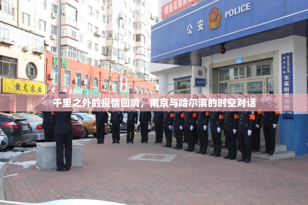 千里之外的疫情回响，南京与哈尔滨的时空对话